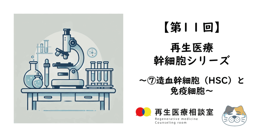 再生医療　幹細胞シリーズ　造血幹細胞（HSC）と免疫細胞